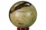 Polished Septarian Sphere - Madagascar #154138-1